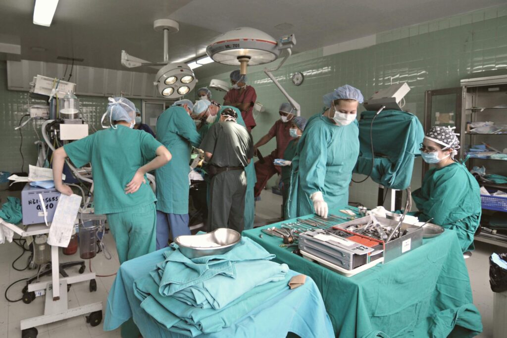 pexels davegarcia 33916269 2.jpg